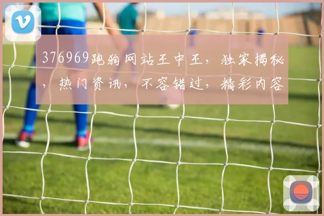 376969跑狗网站王中王，独家揭秘，热门资讯，不容错过，精彩内容，持续更新中，敬请关注