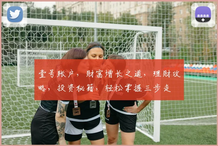 壹号账户，财富增长之道，理财攻略，投资秘籍，轻松掌握三步走