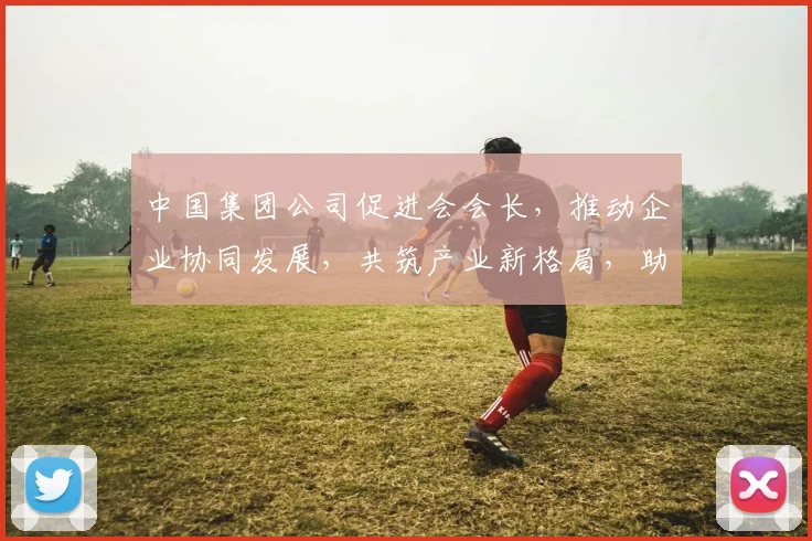 中国集团公司促进会会长，推动企业协同发展，共筑产业新格局，助力经济腾飞，赋能产业升级。