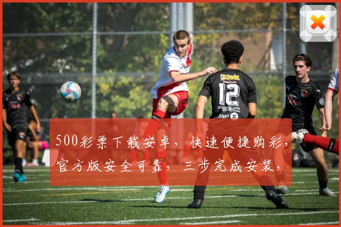 500彩票下载安卓，快速便捷购彩，官方版安全可靠，三步完成安装，轻松购彩体验