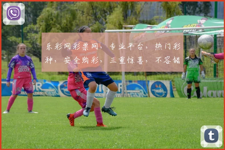 乐彩网彩票网，专业平台，热门彩种，安全购彩，三重惊喜，不容错过，体验非凡