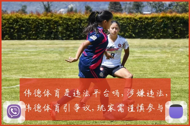伟德体育是违法平台吗,涉嫌违法,伟德体育引争议,玩家需谨慎参与