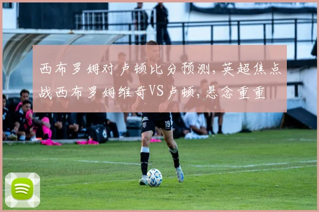 西布罗姆对卢顿比分预测,英超焦点战西布罗姆维奇VS卢顿,悬念重重