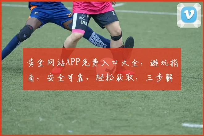 黄金网站APP免费入口大全，避坑指南，安全可靠，轻松获取，三步解锁